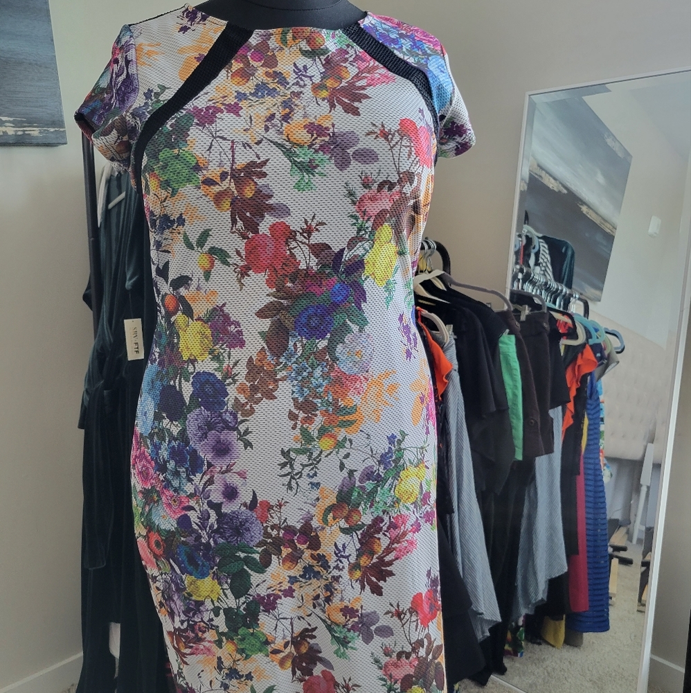 Sheer net back fitted dress